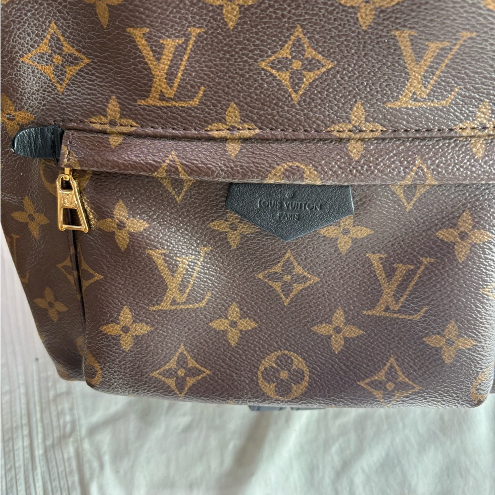 Louis Vuitton Palms Spring Mini Pm - image 6